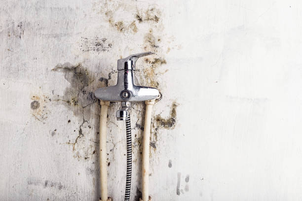 Best Mold Testing  in Rosebud, SD