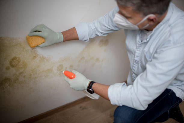 Best Water Damage Restoration  in Rosebud, SD