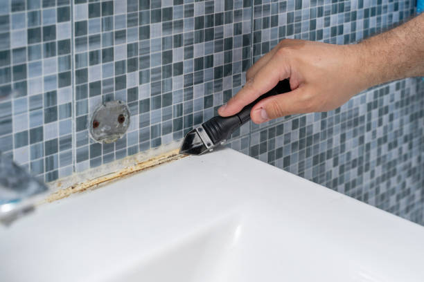 Best Local Mold Removal Service  in Rosebud, SD