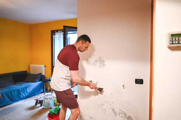 Best Black Mold Removal  in Rosebud, SD