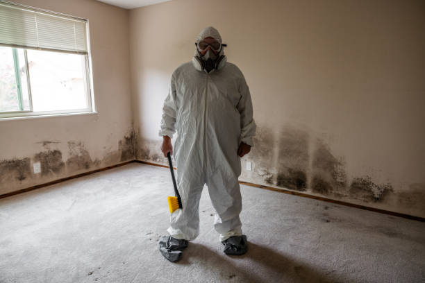 Best Mold Testing  in Rosebud, SD