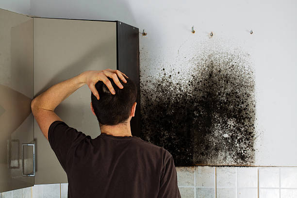 Best Mold Remediation  in Rosebud, SD